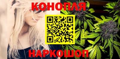 мдпв Долгопрудный